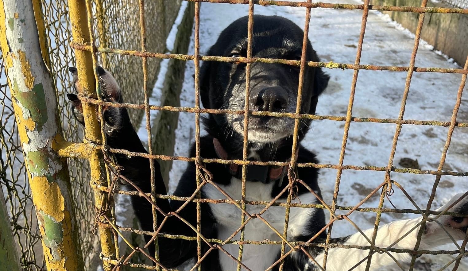 Pomáháme i v Interspespenzion